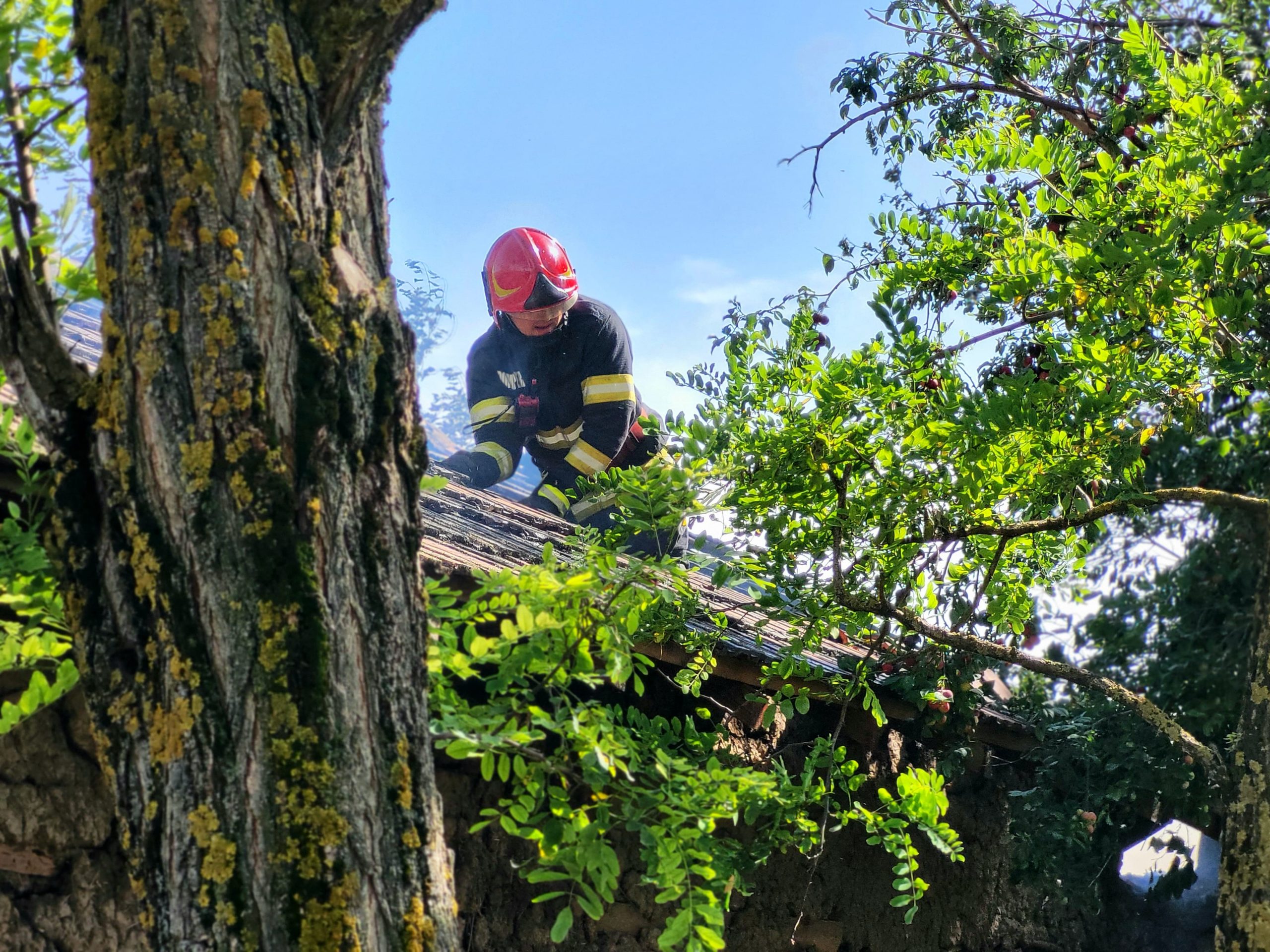 INCENDIU VIOLENT: O tânără imobilizată a fost ajutată de rude și de ...